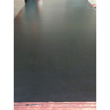 Black Film Faced Plywood